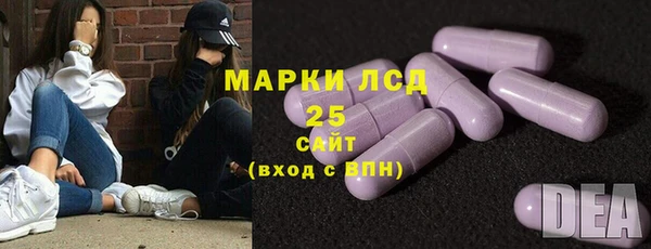 хмурый Белокуриха