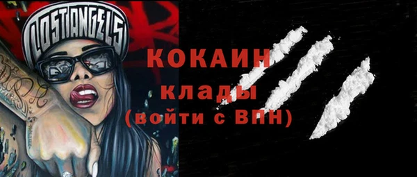 хмурый Белокуриха