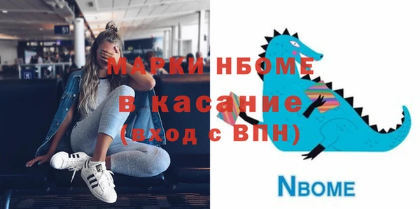 хмурый Белокуриха