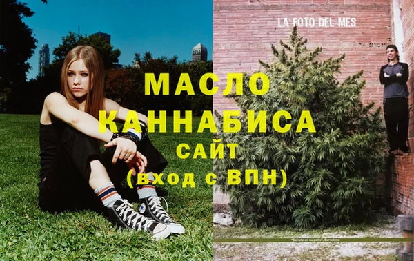 сатива Беломорск