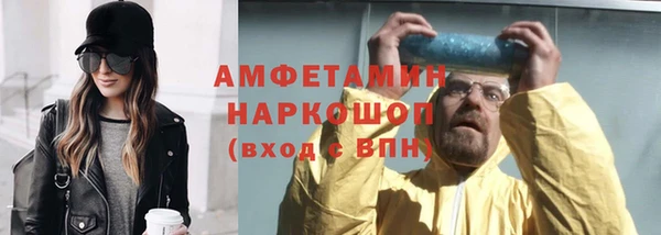 сатива Беломорск