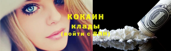 хмурый Белокуриха