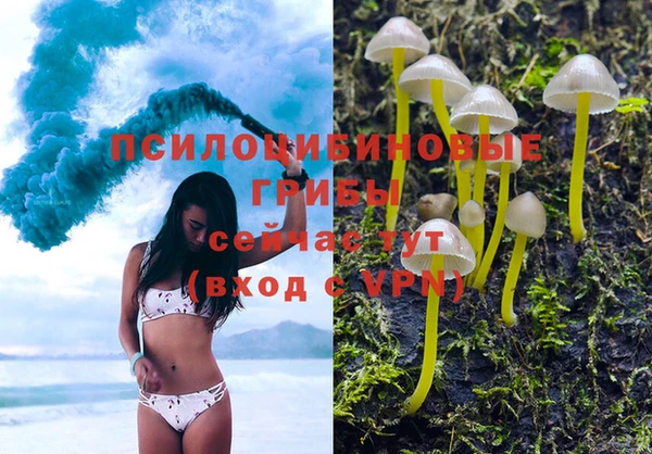 хмурый Белокуриха