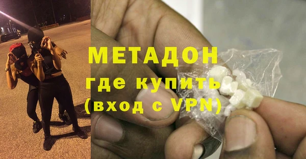 сатива Беломорск