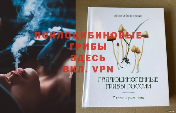 хмурый Белокуриха