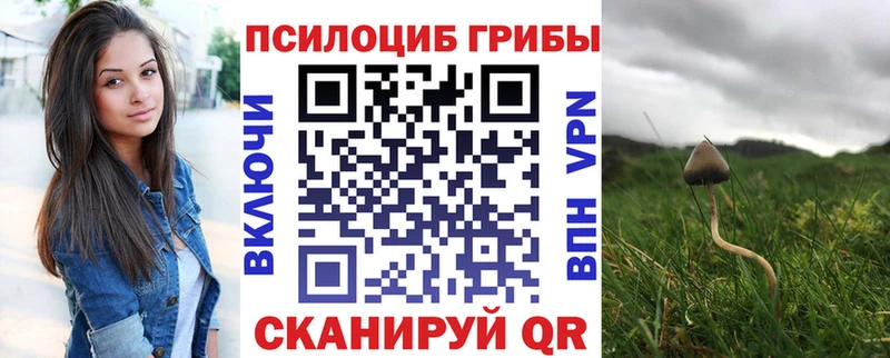 цена   МЕГА маркетплейс  Псилоцибиновые грибы мицелий  Светлый 